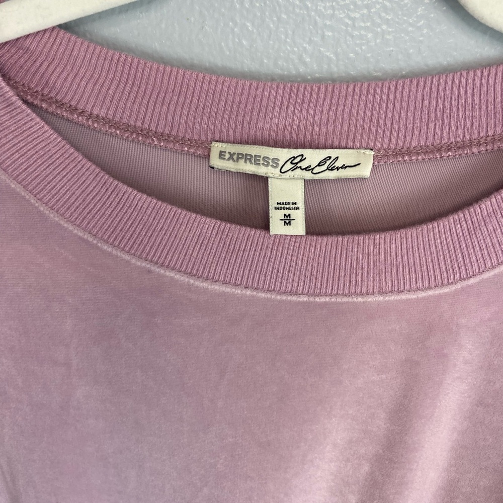 Express‎ Blush Velvet Sweatshirt - Picture 2 of 5